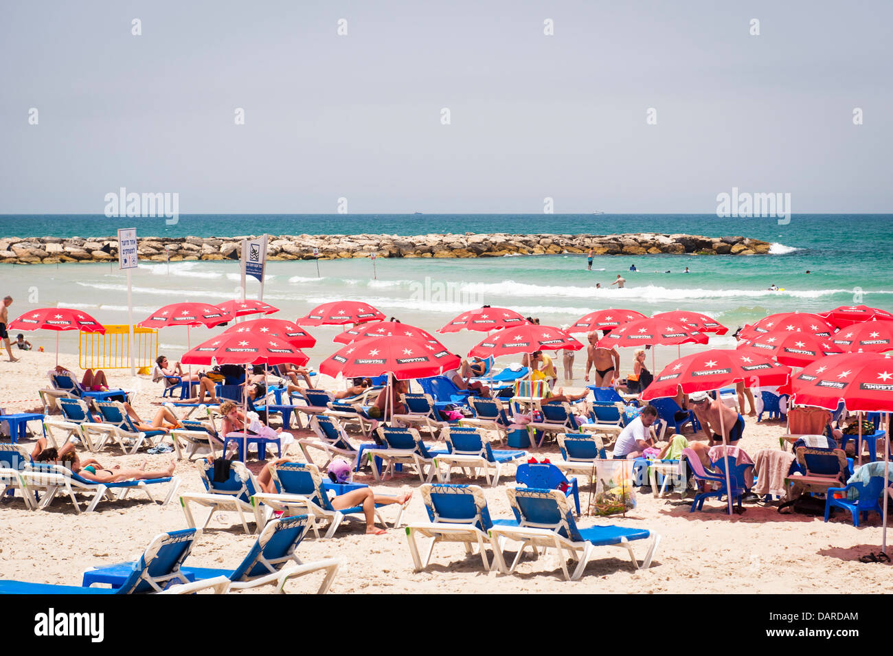 Israel Tel Aviv sand beach scene parasols umbrellas sonnenschirm sea lounger loungers people sunbathers swimming swimmers stone breakwater sea Stock Photo