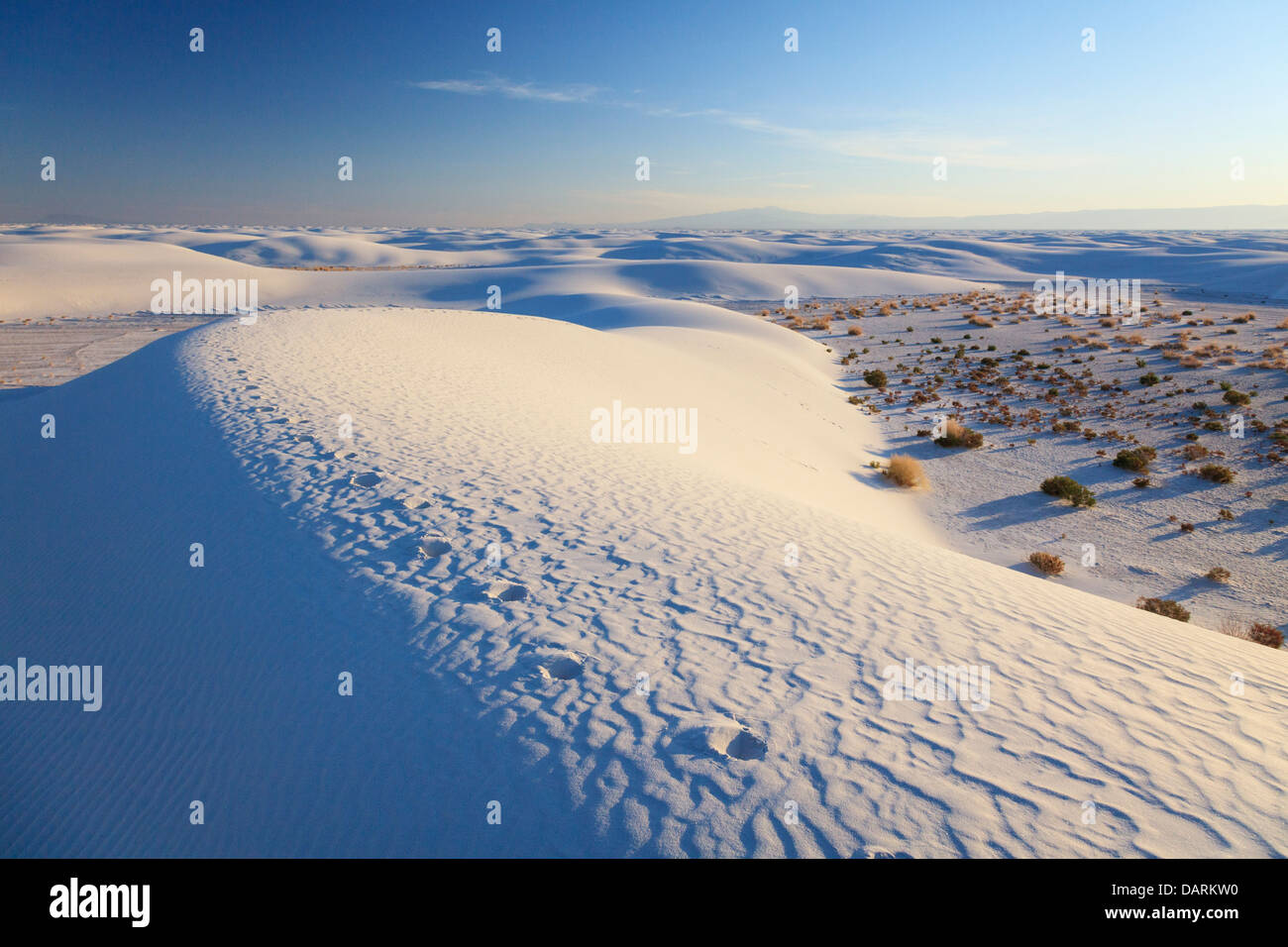 USA, New Mexico, White Sands National Monument Stock Photo