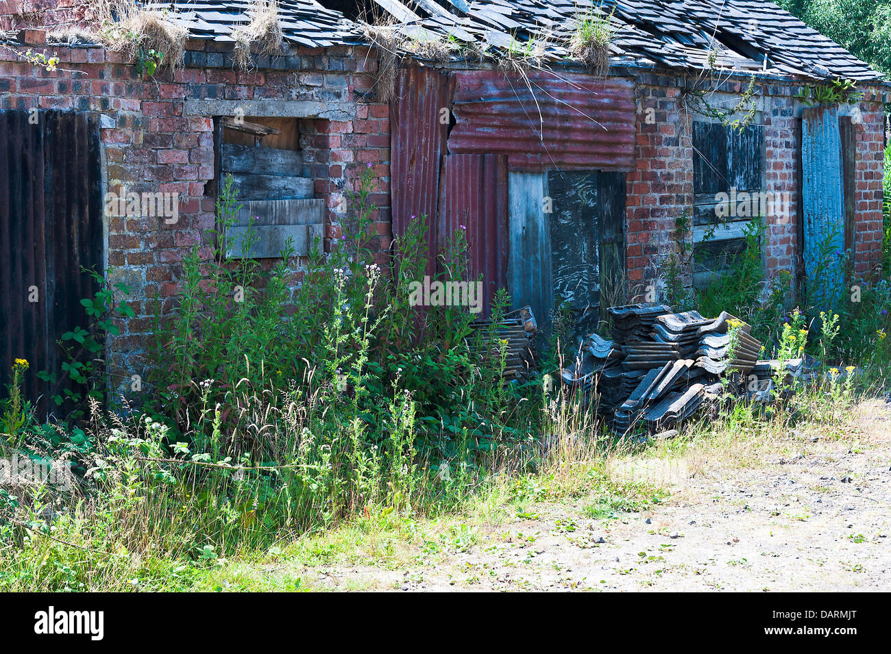 Derelict Old Property Surrounded by Weeds Alongside Canal at Rode Heath