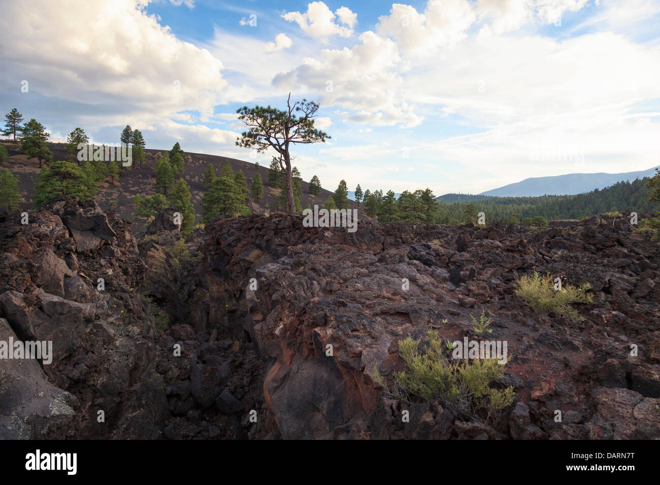 USA, Arizona, Flagstaff, Sunset Crater National Monument, Cinder Cones and Volcanic Landscape Stock Photo