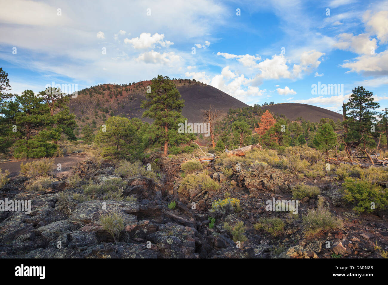 USA, Arizona, Flagstaff, Sunset Crater National Monument, Cinder Cones and Volcanic Landscape Stock Photo