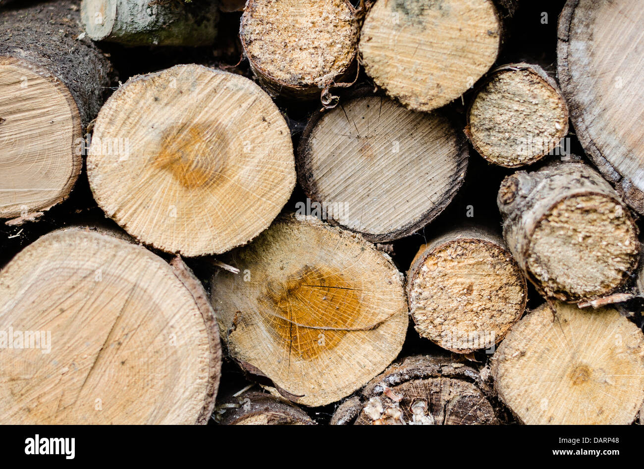Stack of wood Stock Photo Alamy