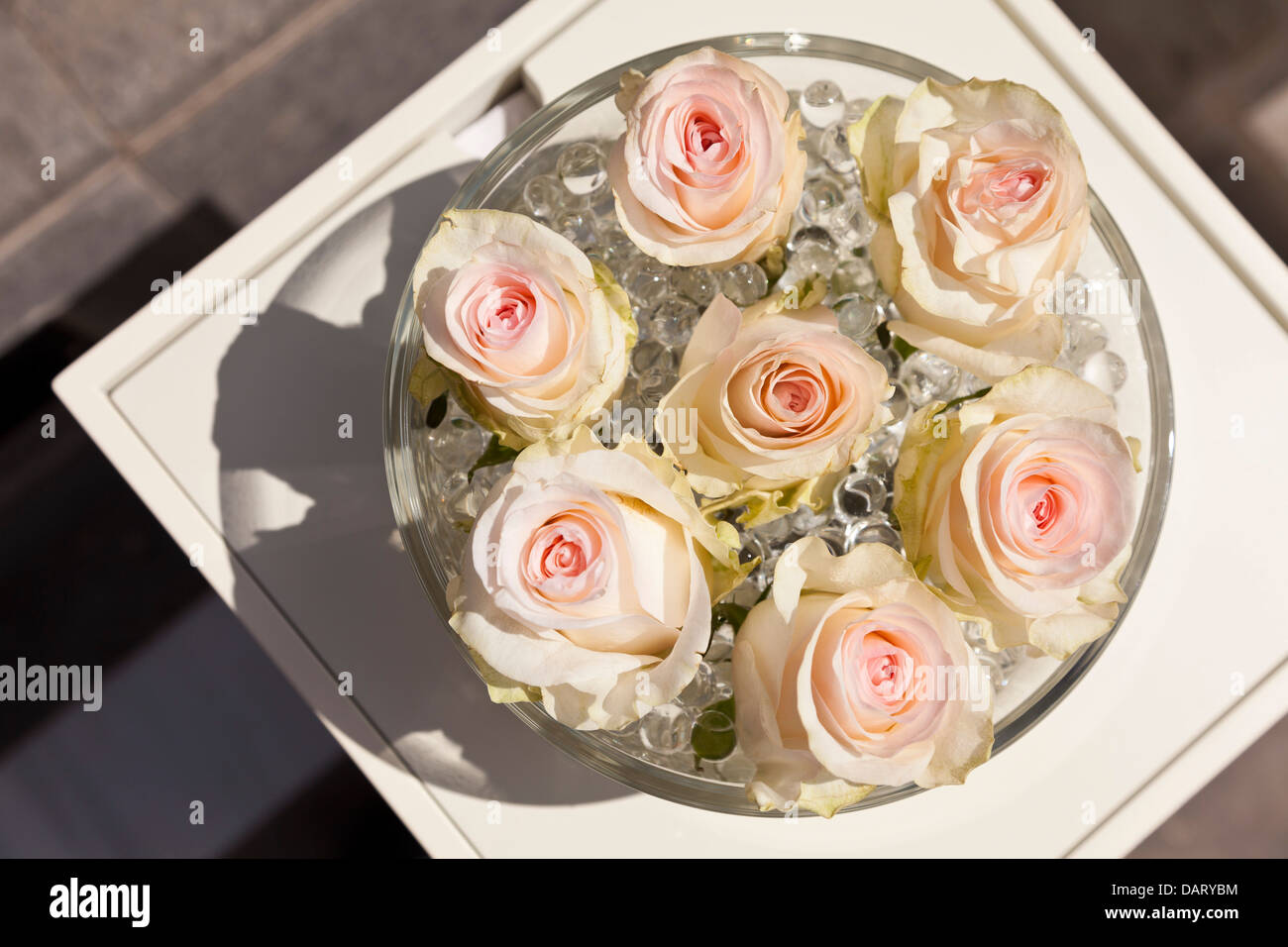 Overhead aerial view of pink roses in a glass dish on a small table in strong sun. Stock Photo