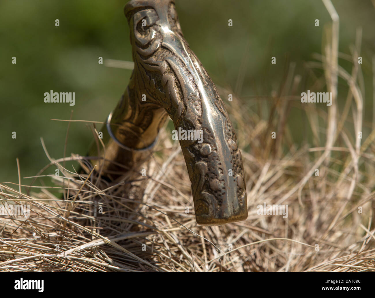 Handle of a cane Stock Photo - Alamy