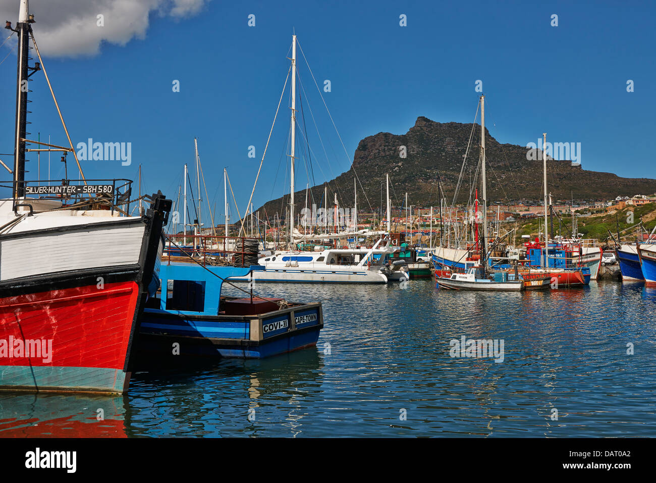 fishing boats in harbor of Hout Bay, Cape Town, Western Cape, South