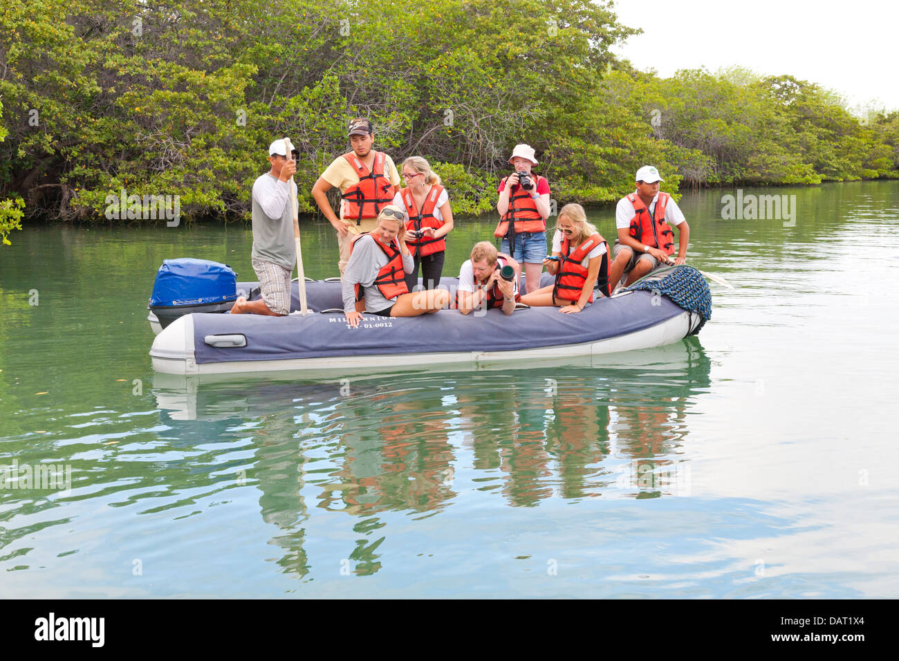 Dinghy excursion, Black Turtle Cove, Santa Cruz Island, Galapagos Islands, Ecuador Stock Photo
