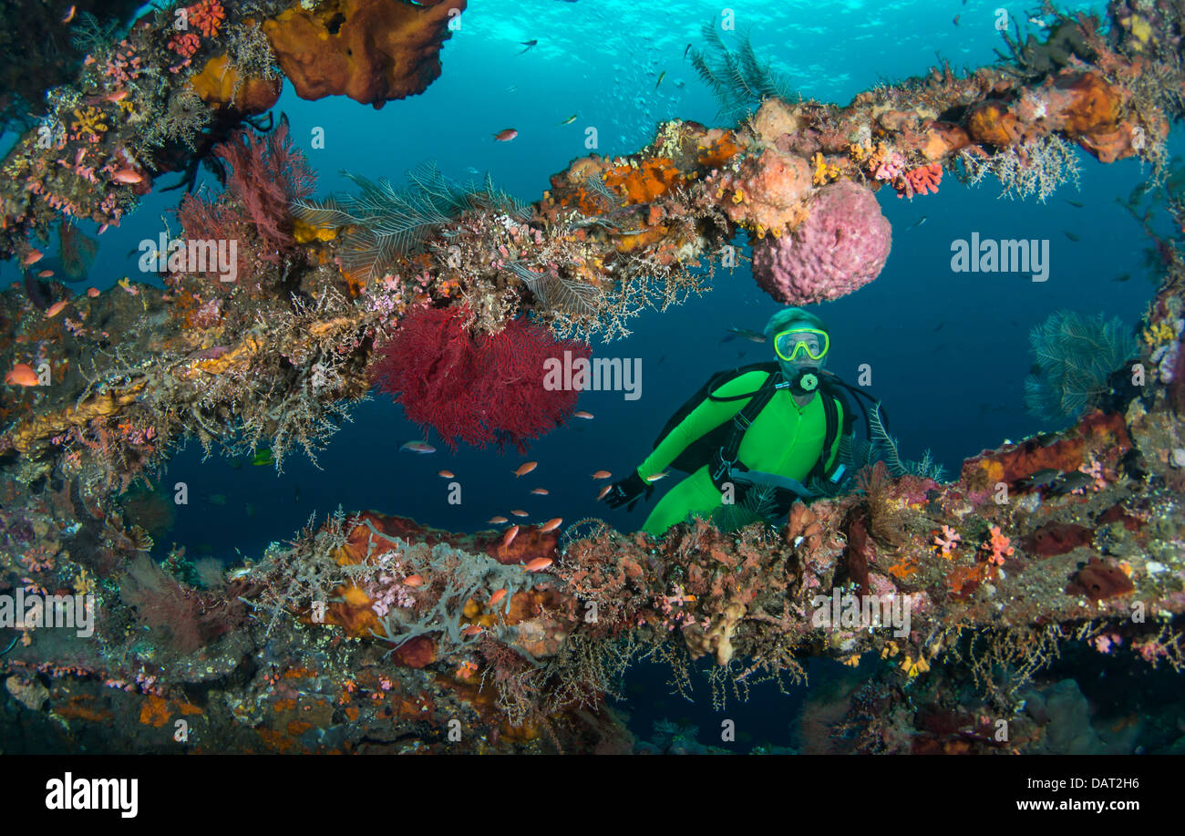 Female scuba diver exploring exterior of wreck, Tulamben, Bali, Indonesia Stock Photo