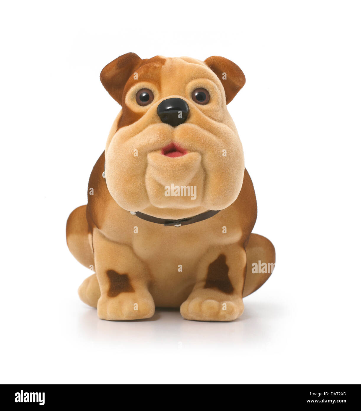 toy dog cut out onto a white background Stock Photo