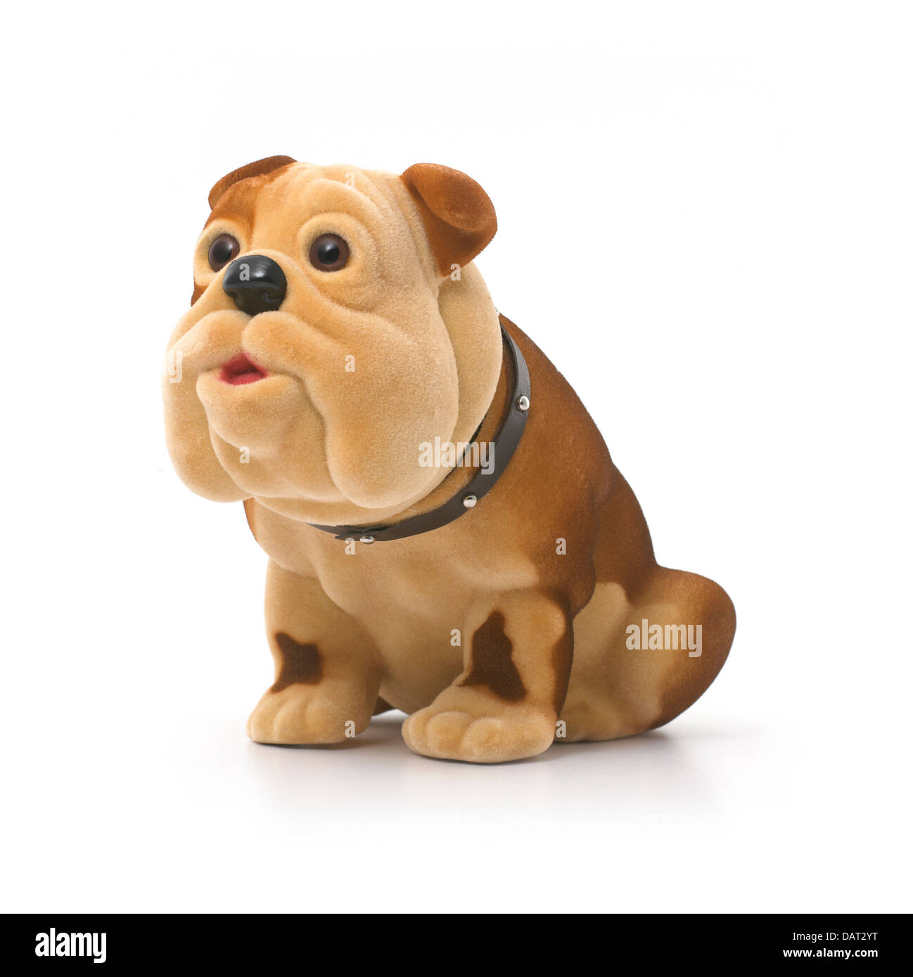 toy dog cut out onto a white background Stock Photo