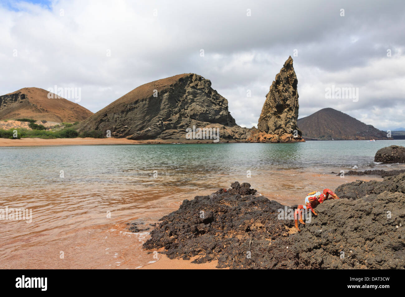 Sally Lightfoot Crab, Pinnacle Rock, Bartolome Island, Galapagos Islands, Ecuador Stock Photo