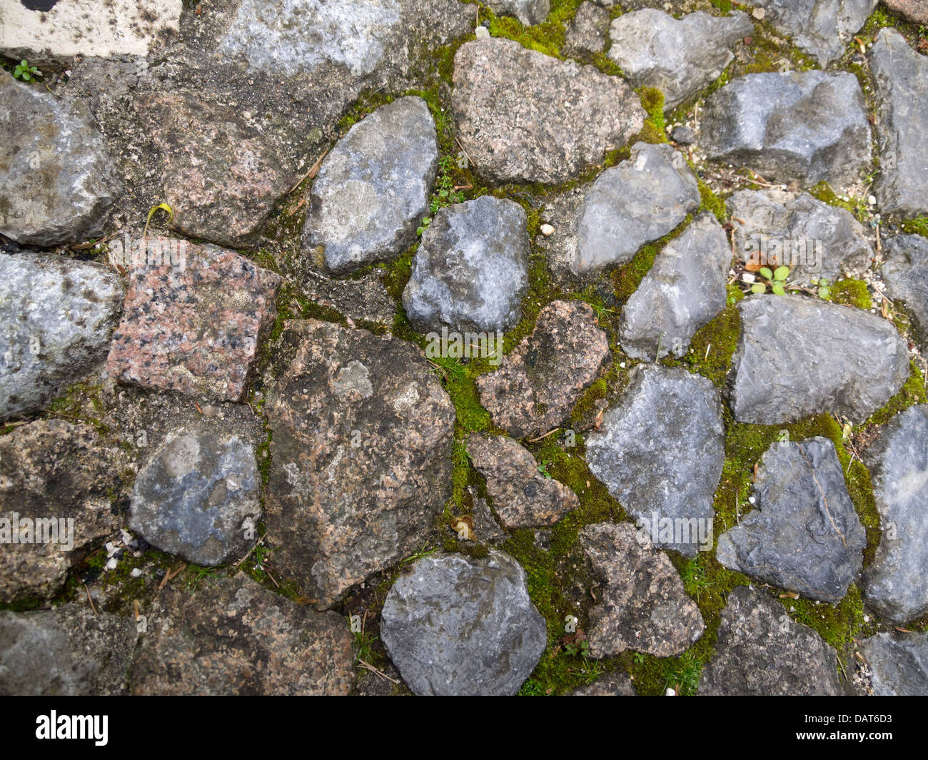 Cobblestone sidewalk detail Stock Photo