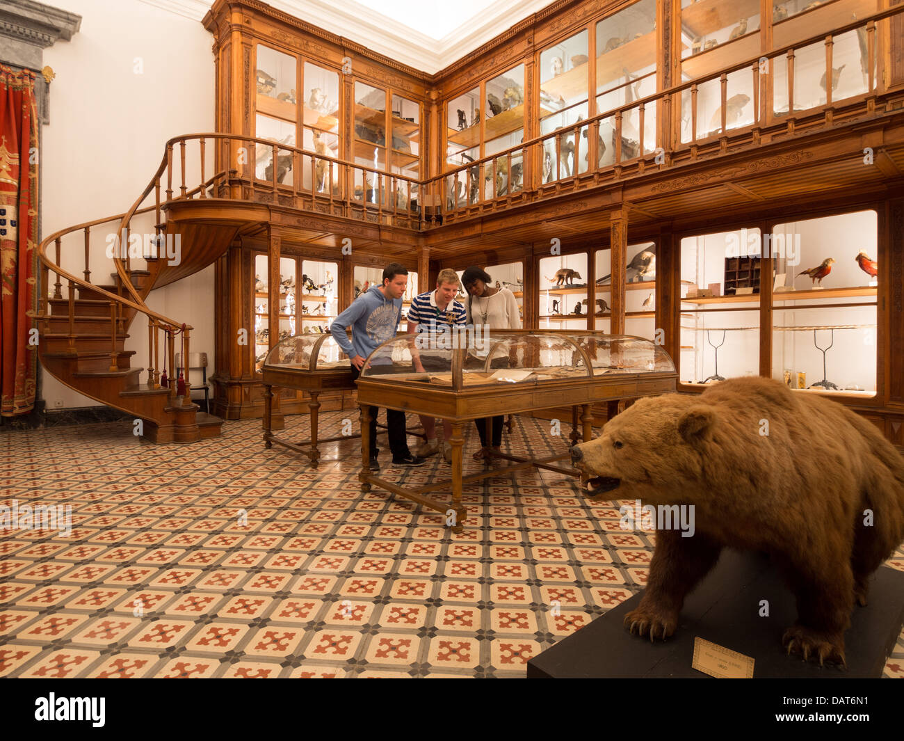 Museu de Zoologia (zoology museum) in Coimbra, Portugal, Europe Stock Photo
