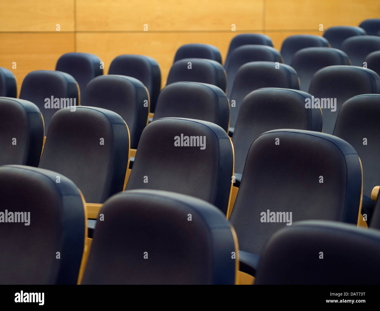 Rows of empty seats Stock Photo