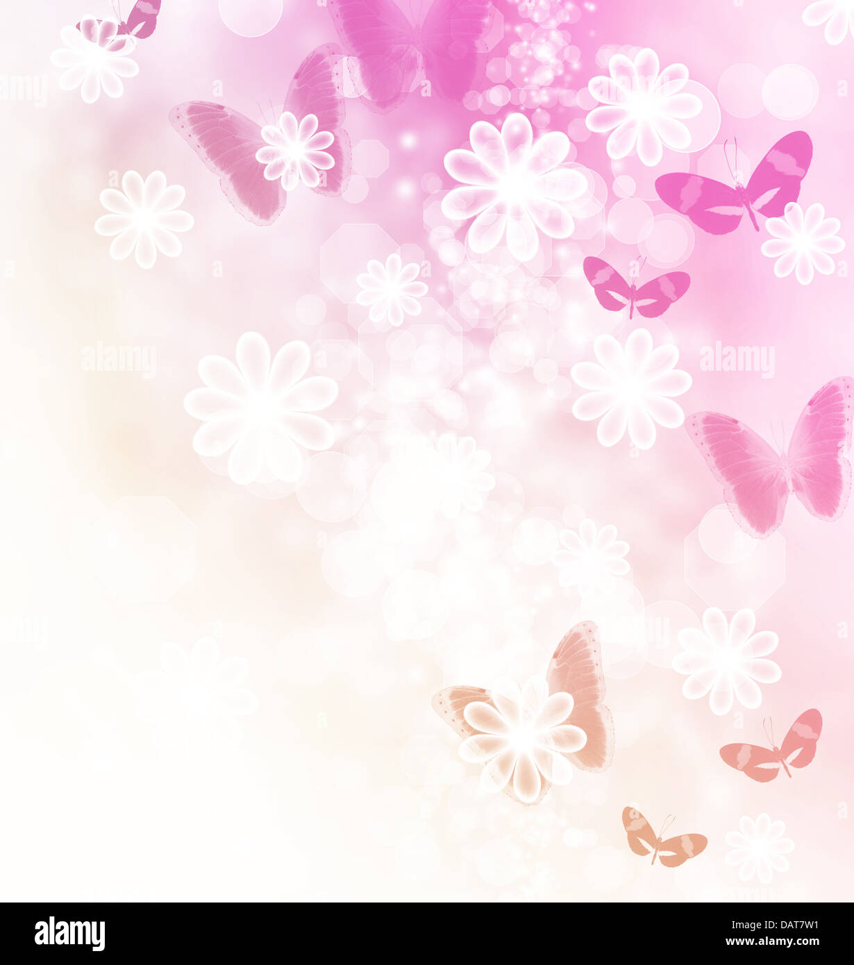 Blossoms and butterflies pastel illustration Stock Photo