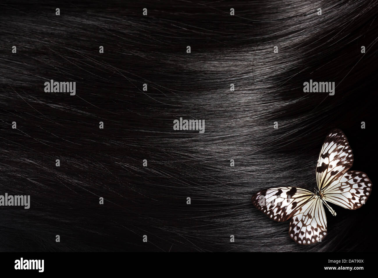 Healthy black hair with a Paper Kite butterfly - close up image Stock Photo