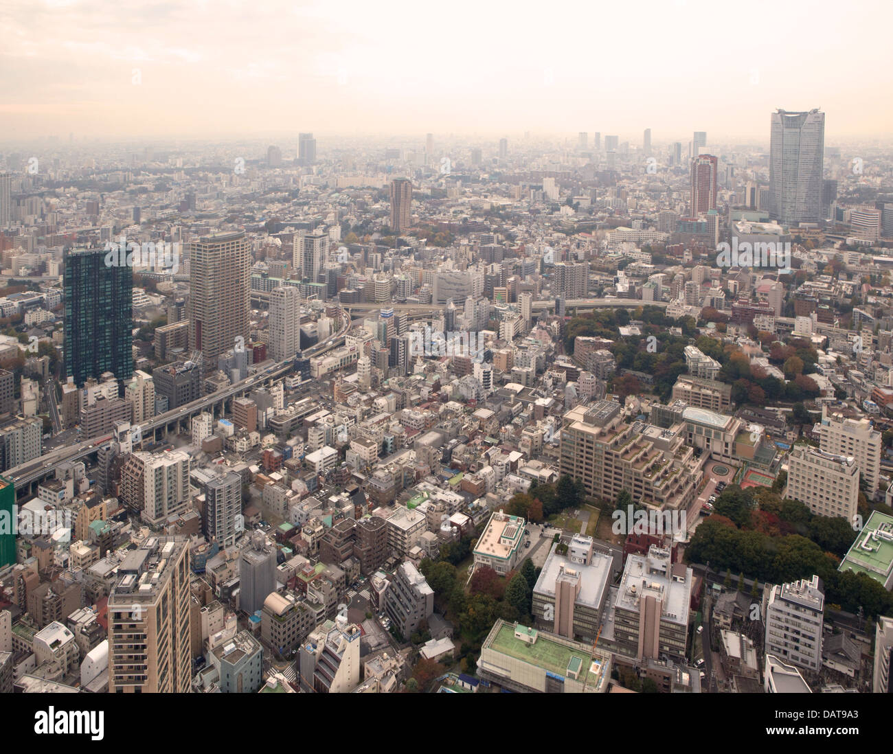 My Image 30