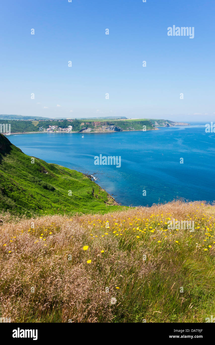 Wild flowers on the cliff top at Kettleness overlooking Runswick Bay North Yorkshire Stock Photo