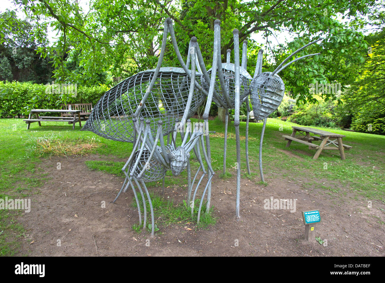 The Millennium Bug and offspring, by Graeme Hopper & David Buxton on display in Botanical Gardens of Durham University Stock Photo