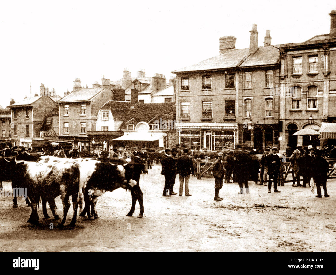 Chippenham market hires stock photography and images Alamy