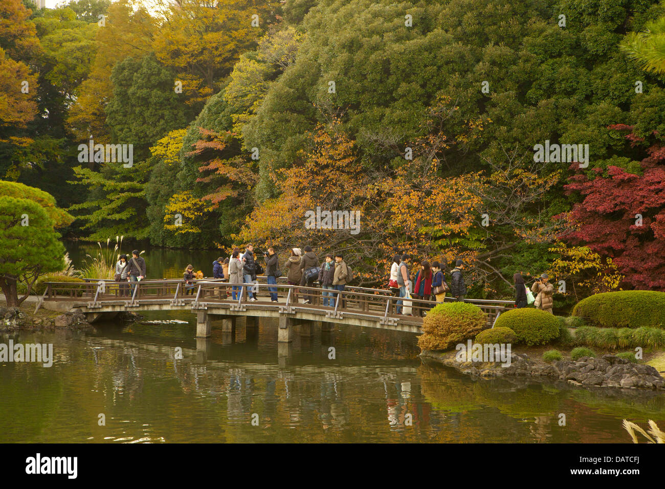 Shinjuku Gyoen National Garden in Tokyo, Japan Stock Photo - Alamy
