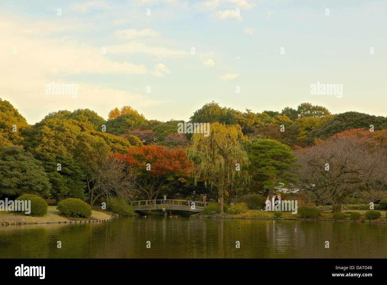 Shinjuku Gyoen National Garden in Tokyo, Japan Stock Photo - Alamy