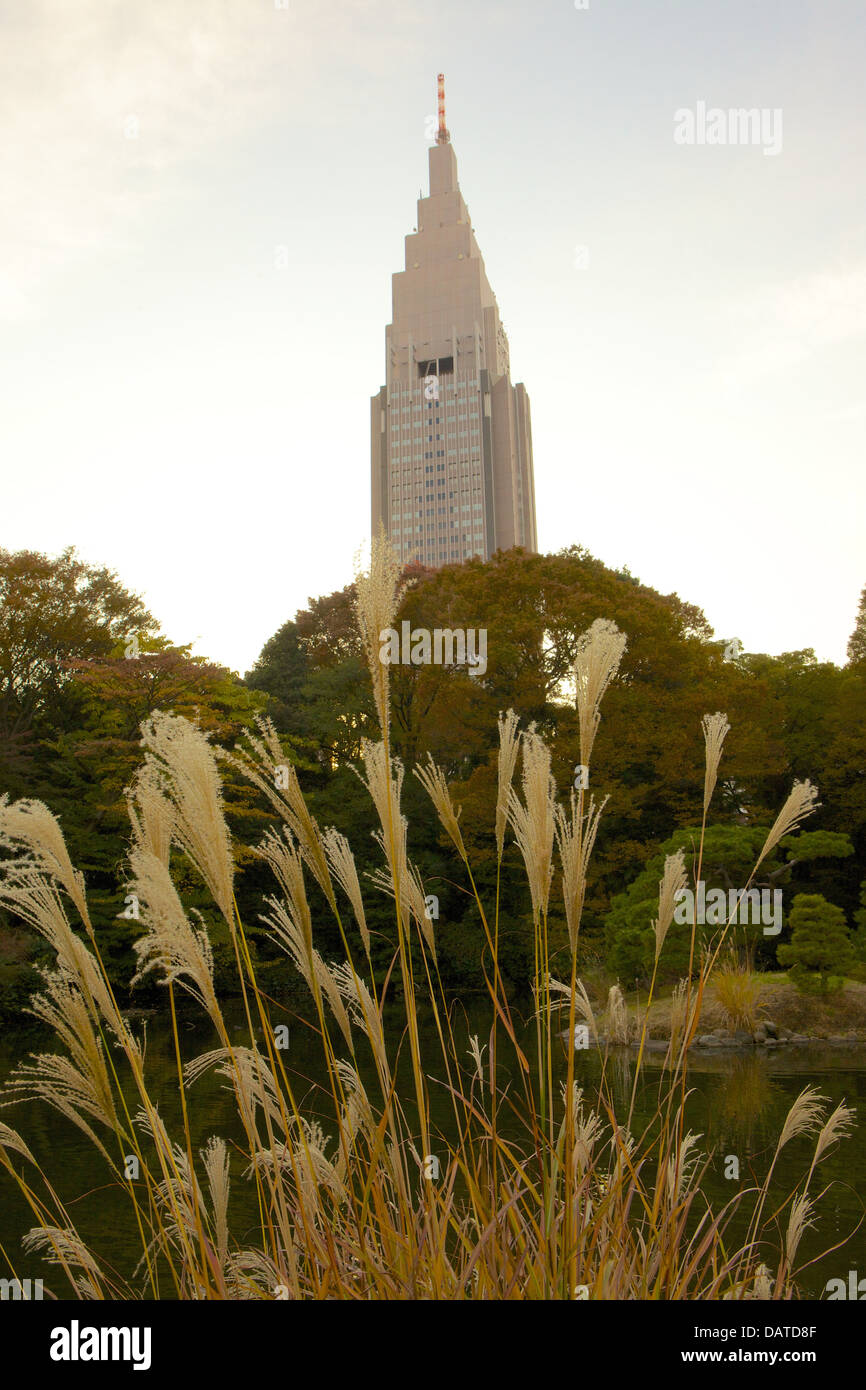 Shinjuku Gyoen National Garden in Tokyo, Japan Stock Photo - Alamy