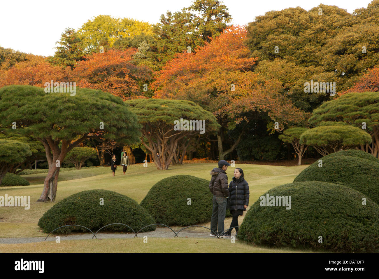 Shinjuku Gyoen National Garden in Tokyo, Japan Stock Photo - Alamy