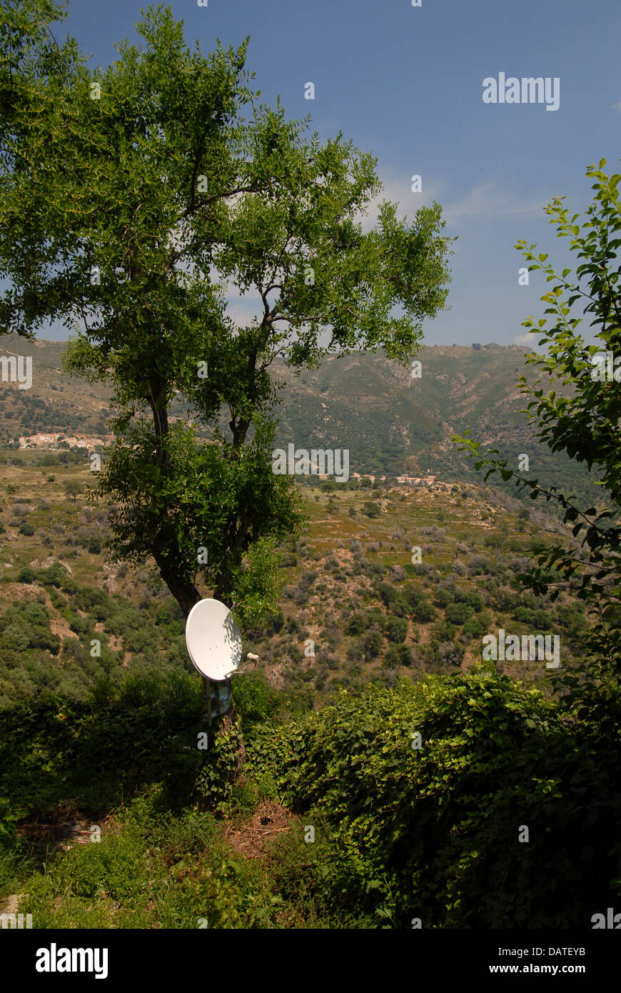 Satellite dish tree hires stock photography and images Alamy