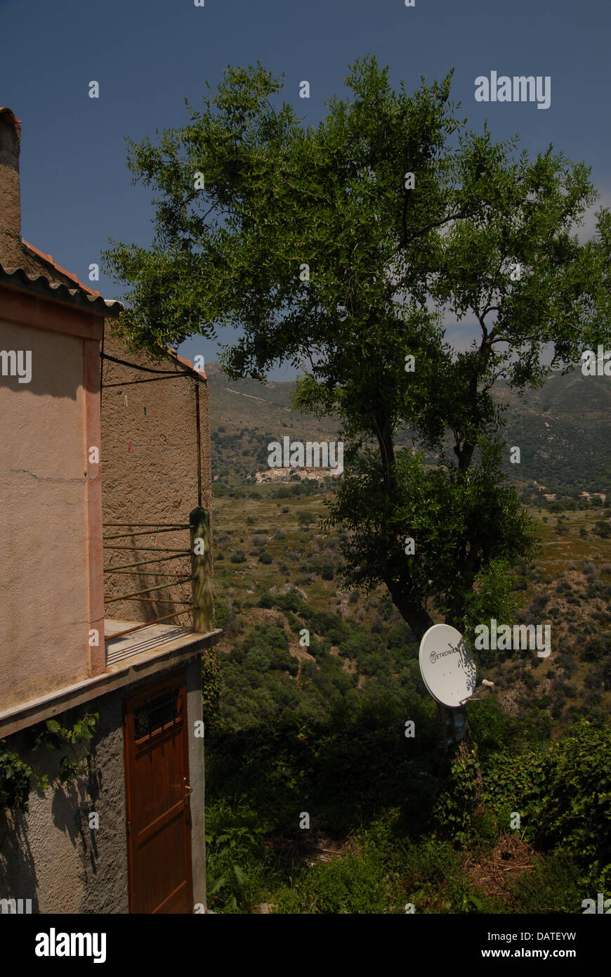 Satellite dish mounted in tree hires stock photography and images Alamy