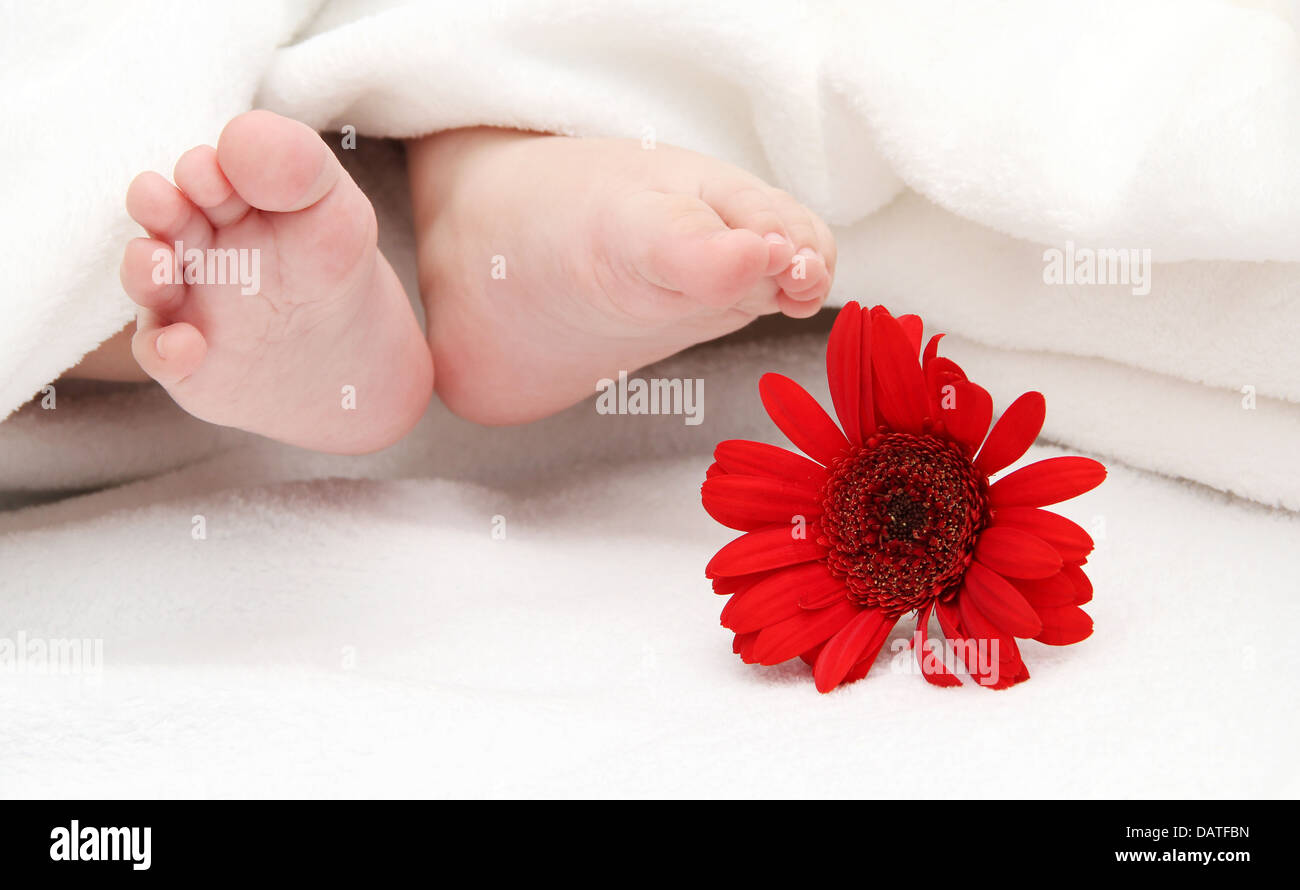 baby foots with a flower in the foreground Stock Photo