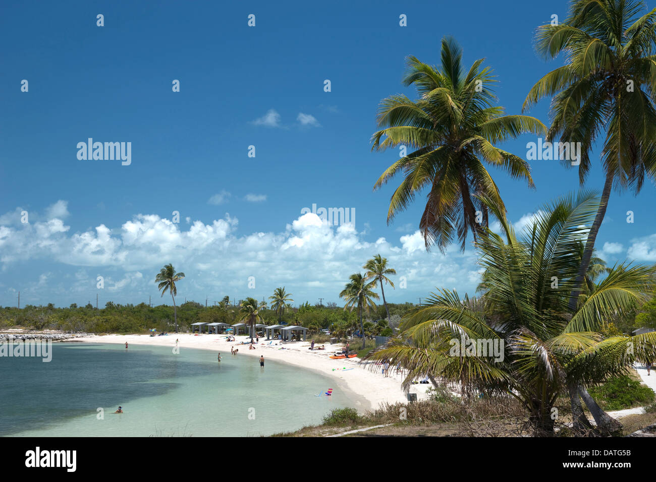 PALM TREES CALUSA BEACH BAHIA HONDA STATE PARK BAHIA HONDA KEY FLORIDA