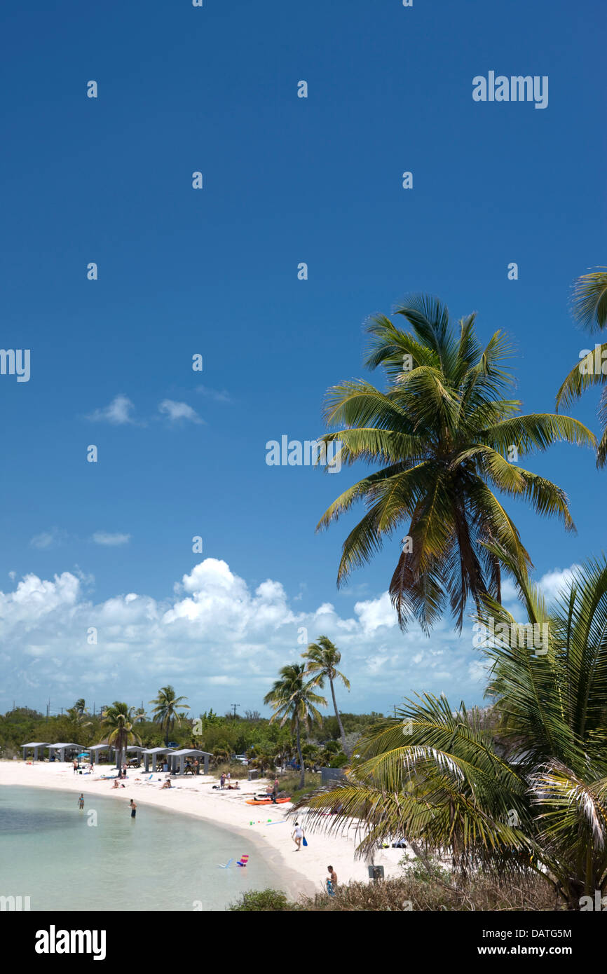 PALM TREES CALUSA BEACH BAHIA HONDA STATE PARK BAHIA HONDA KEY FLORIDA