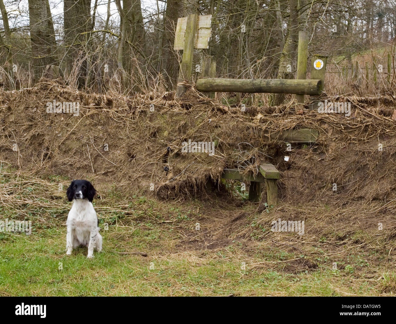 stile and fence after floods Stock Photo
