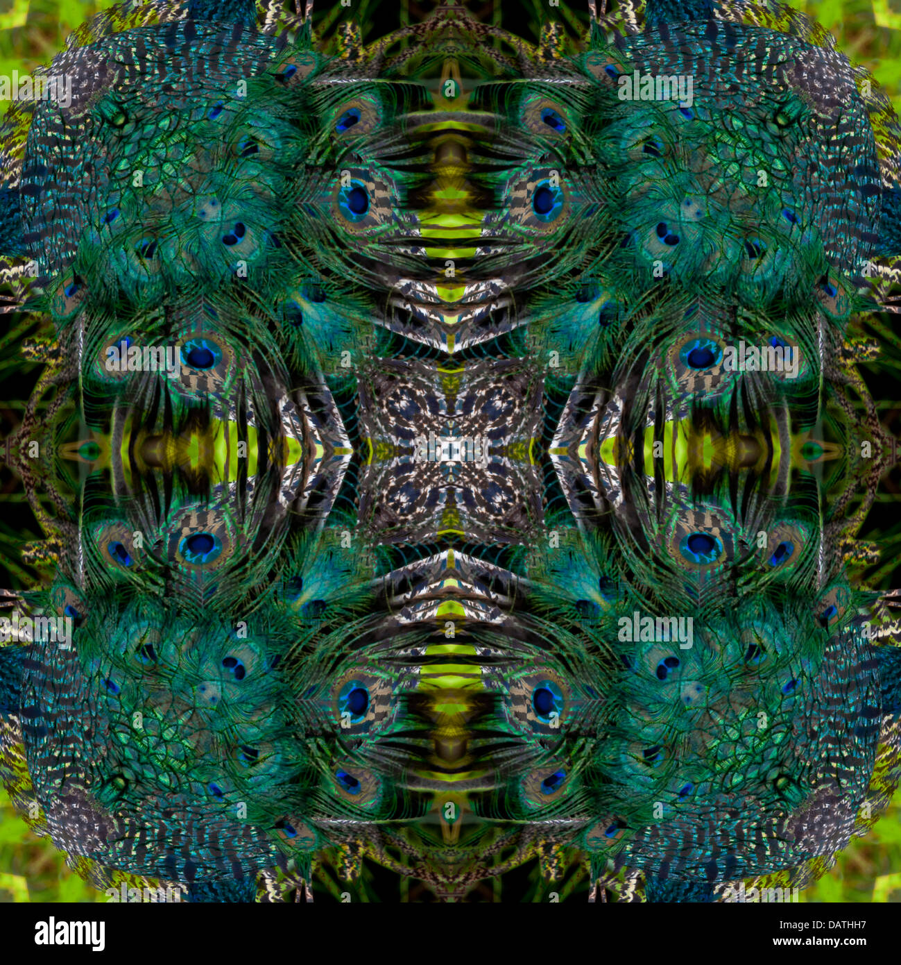 Digitally manipulated abstract square image of a peacock which results in a stunning symmetrical kaleidoscope of blue and greens Stock Photo