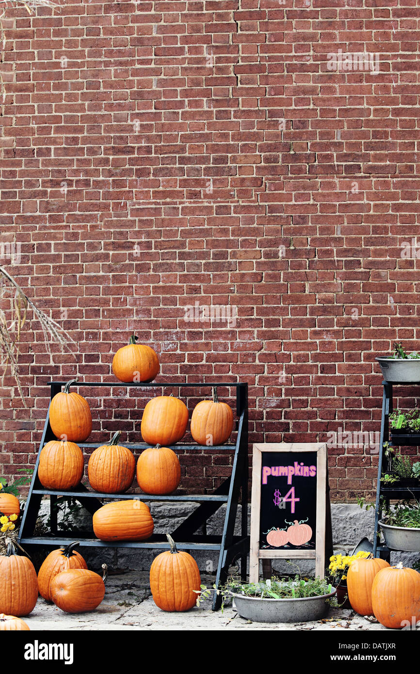 Pumpkins For Sale Stock Photo Alamy