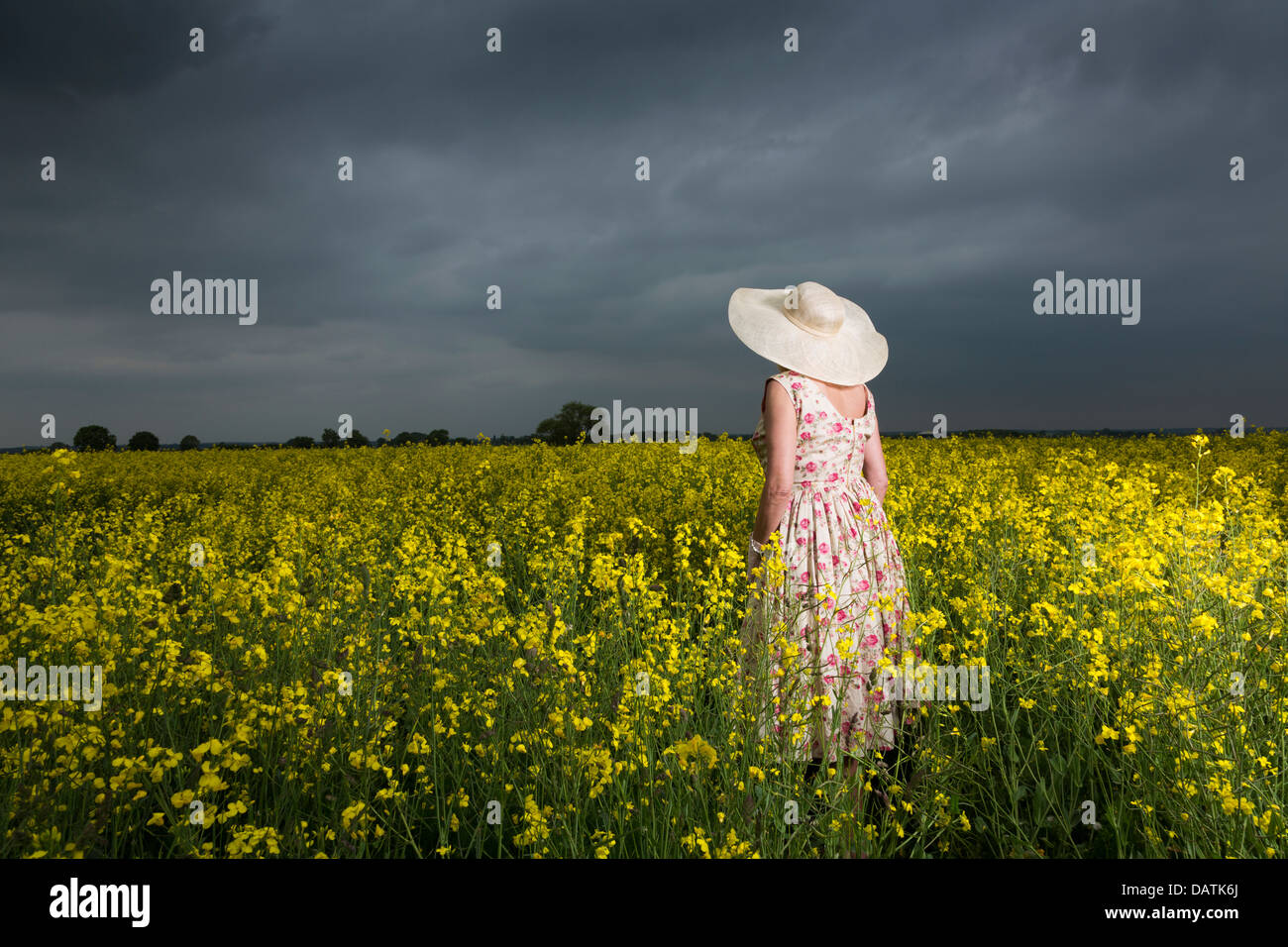 woman standing in field in open countryside with oilseed crop Stock Photo