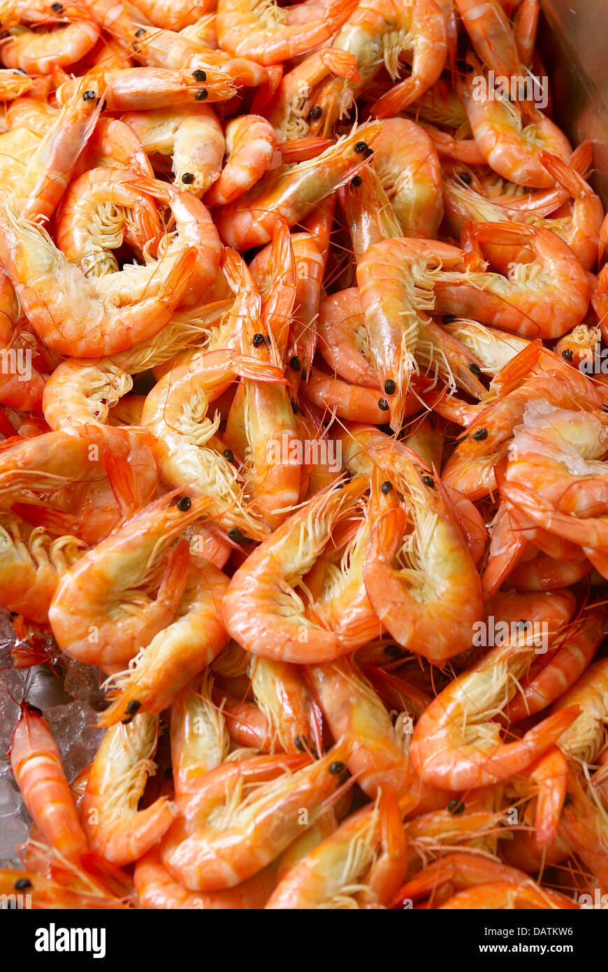 A pile of fresh pacific red prawns on ice. Stock Photo