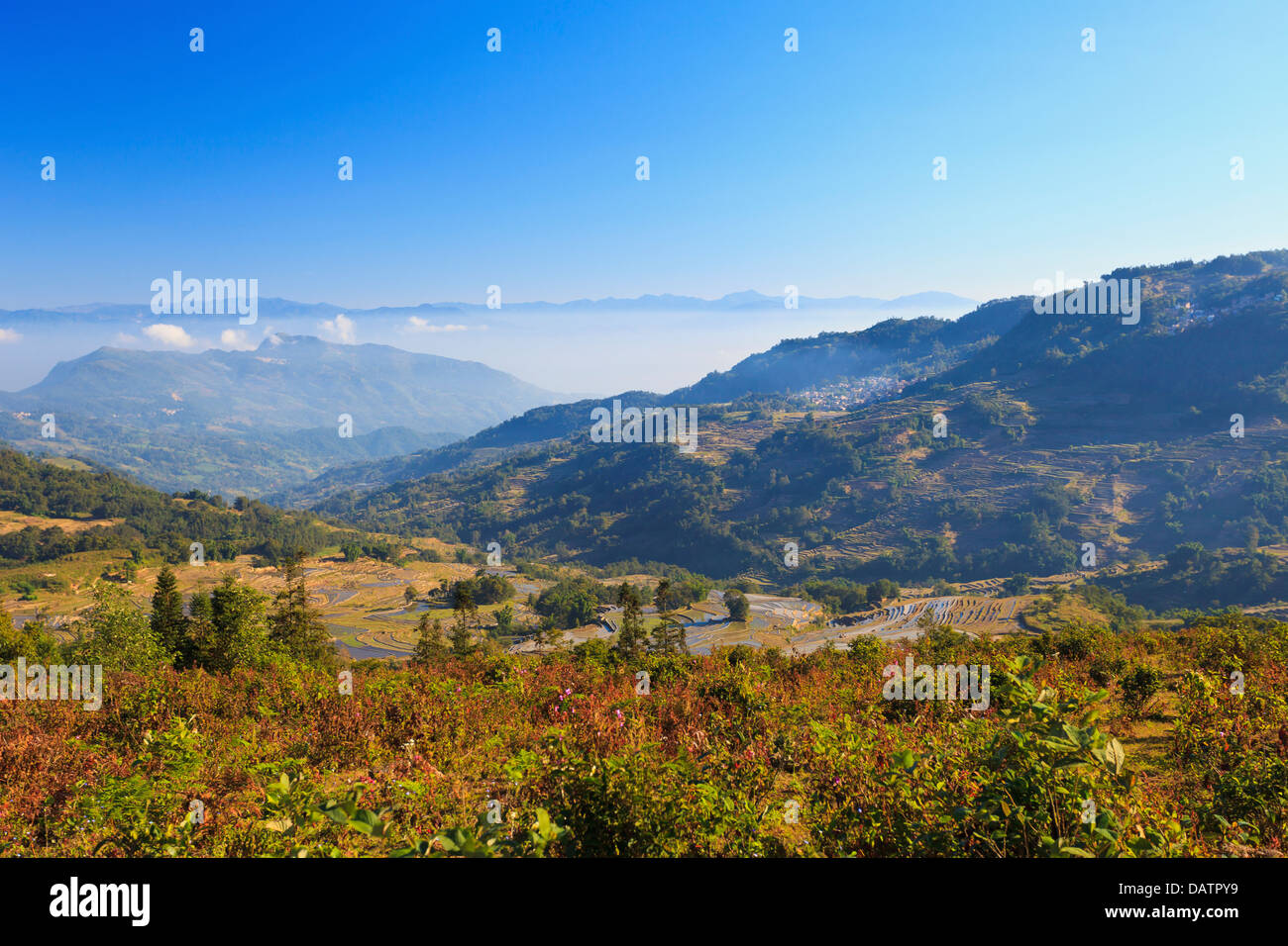 Lowland Rice Terraces Landscape of rice terraces in autumn Stock Photo - Alamy