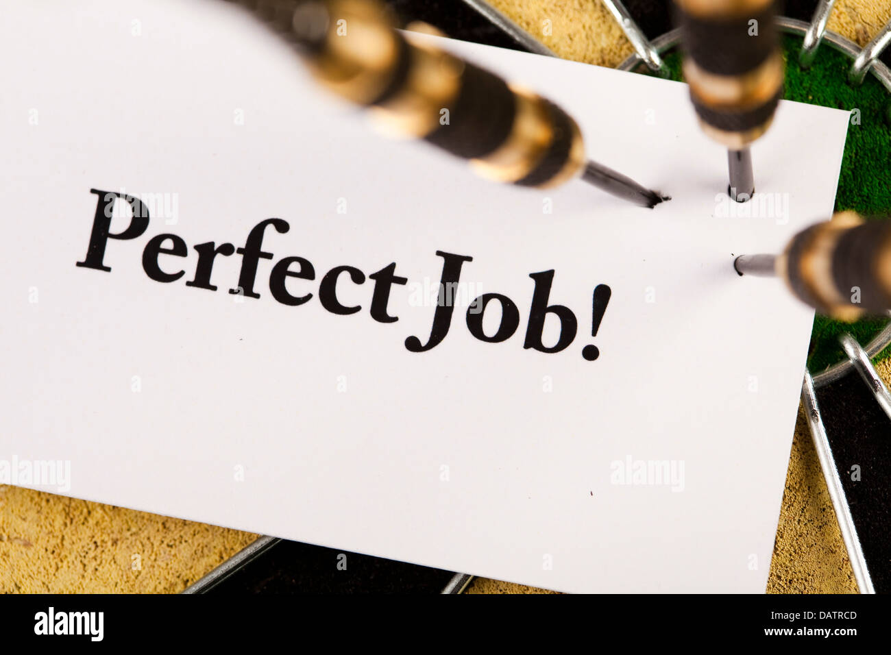 The perfect job for me. Программа success. The perfect job for me. Excellent job. Find perfect job.