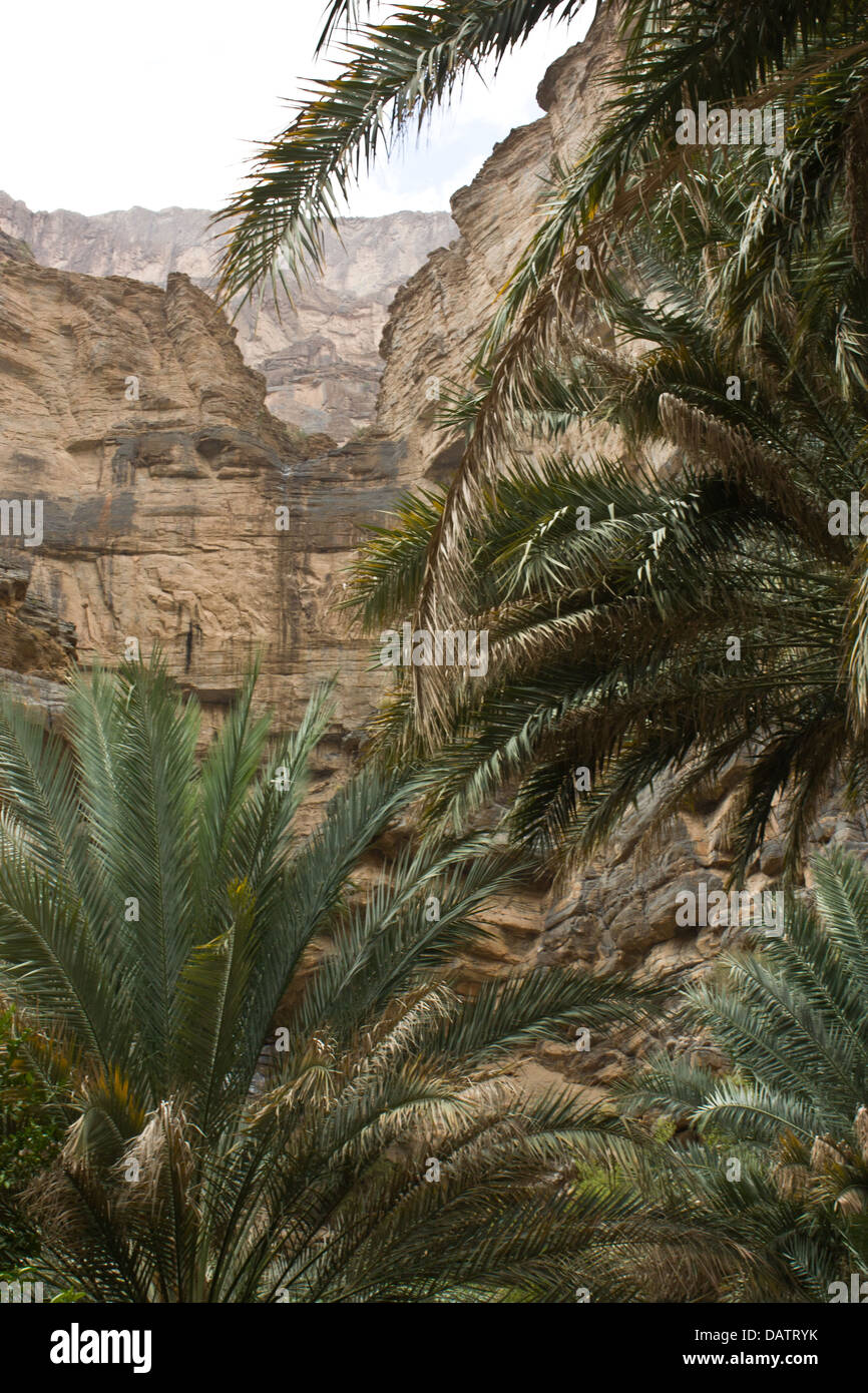 Wadi An Nakhur Gorge Oman Middle East Stock Photo