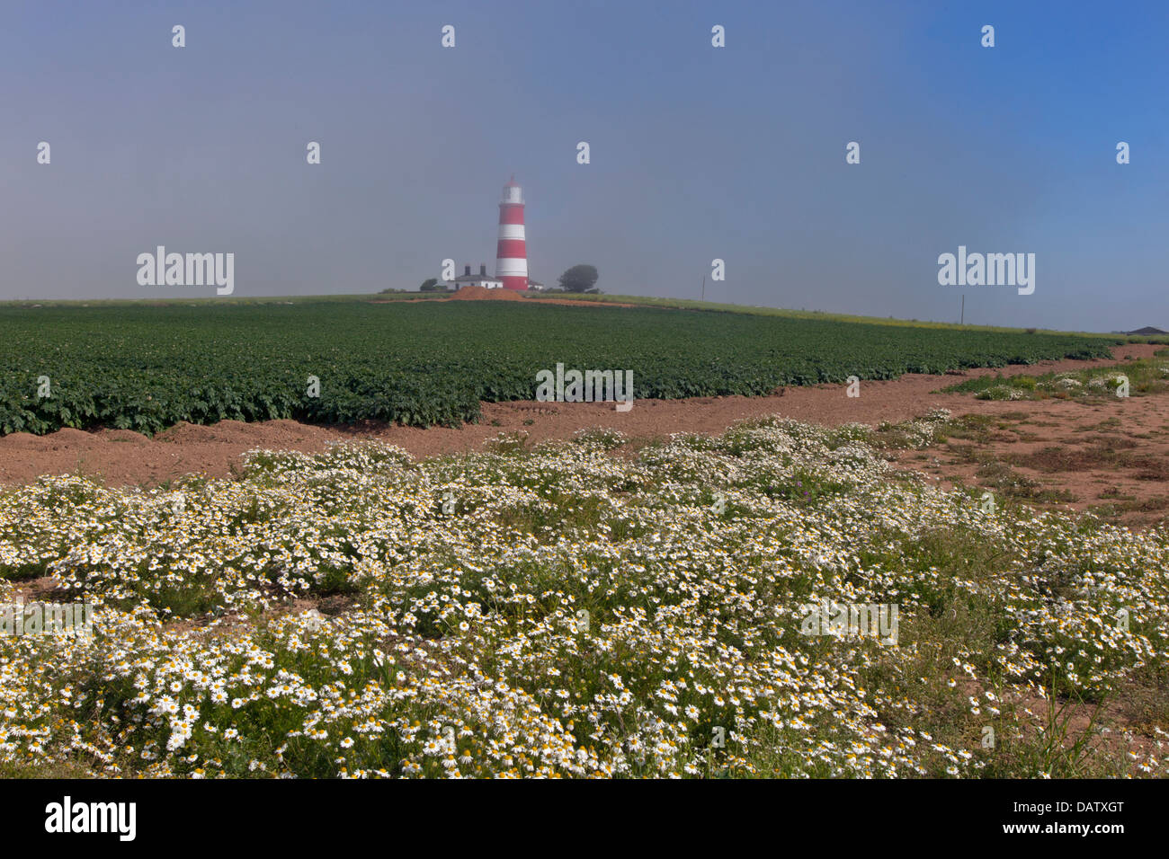 Light House at Happisburgh Norfolk and sea fog rolling in Stock Photo
