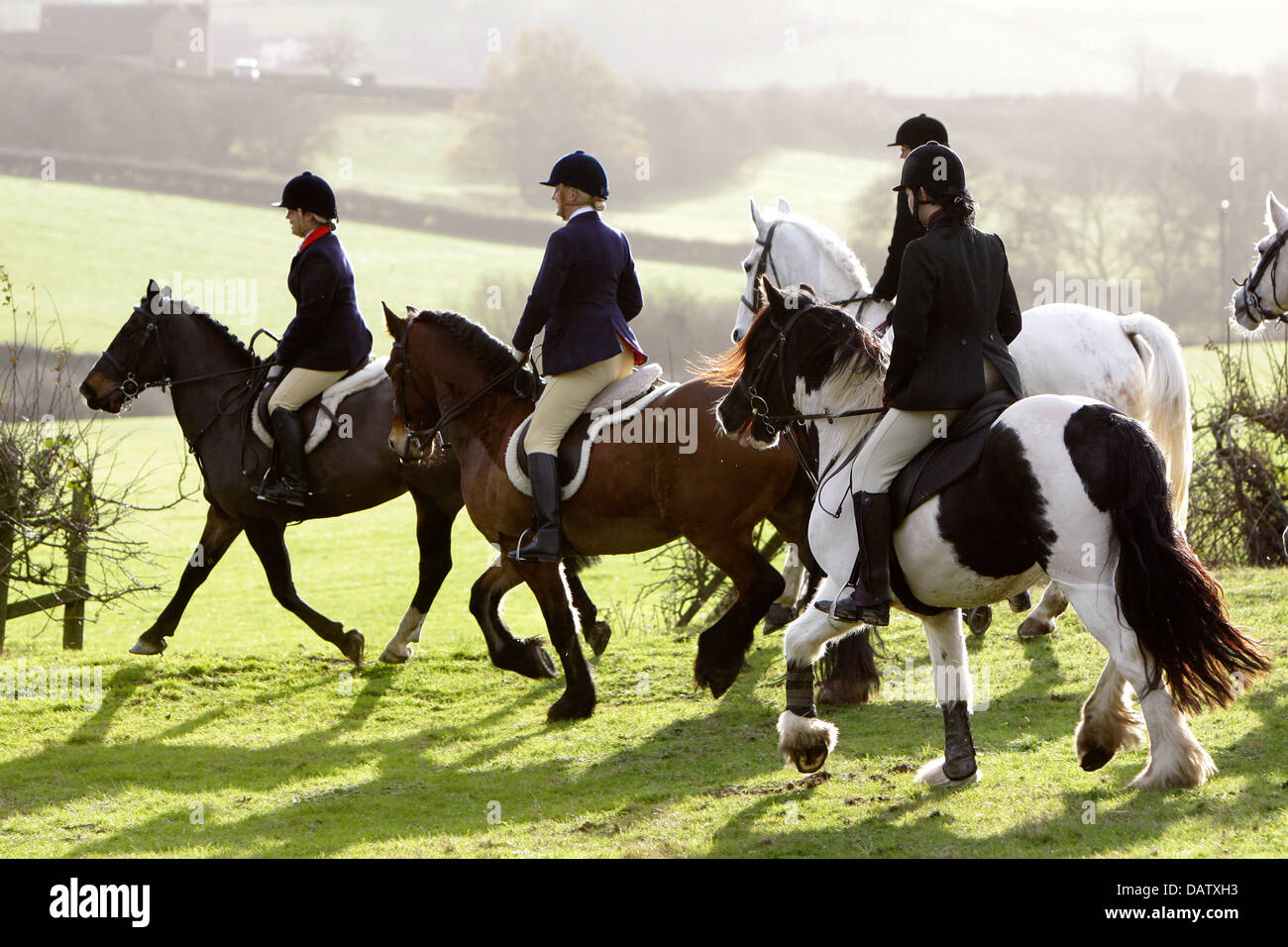 A Drag Hunt Bloodhounds and riders following a scent trail in the Peak