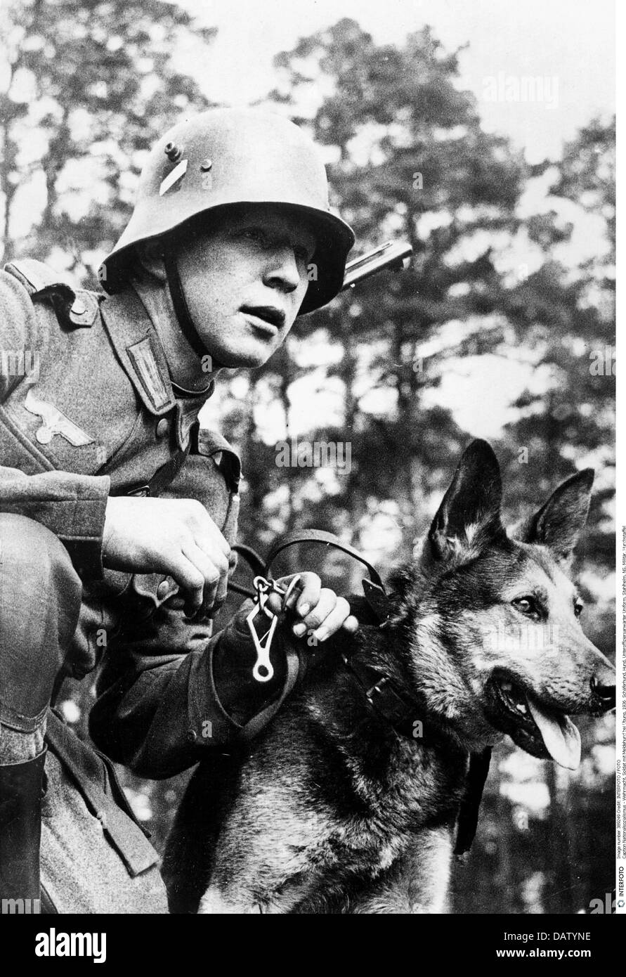 German soldier with dog hi-res stock photography and images - Alamy