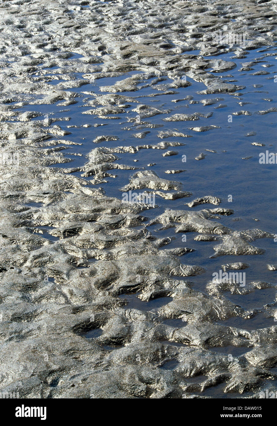 Muddy area in the Olifants river with patterns, and reflection of light Stock Photo