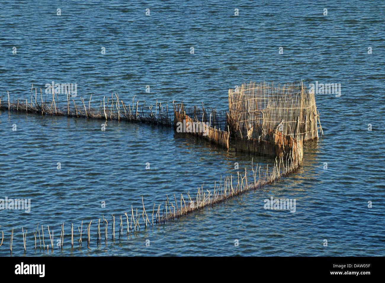 African fishtraps made of reeds at Kosi bay, Natal South Africa Stock Photo