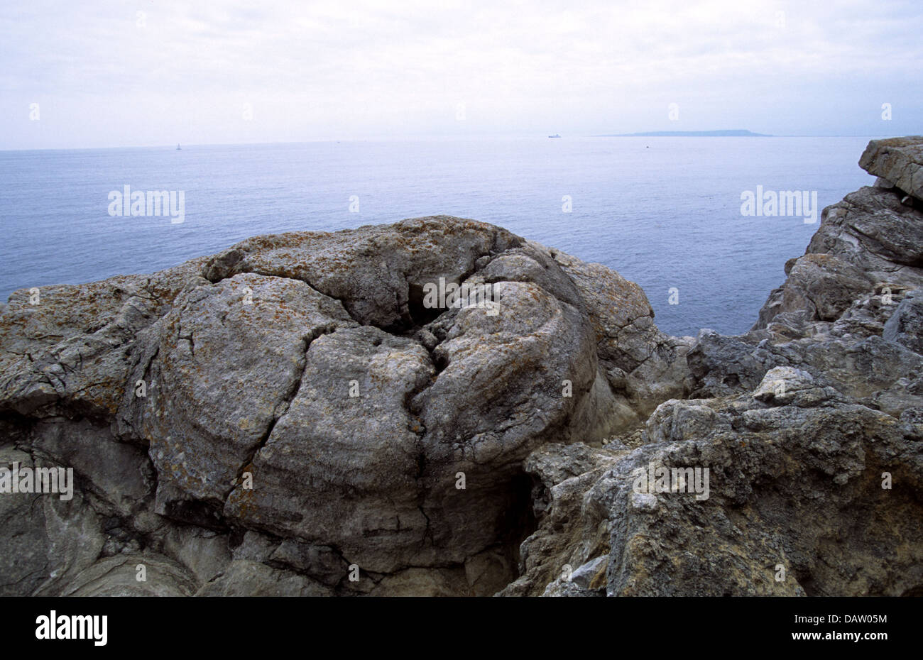 Fossil Forest, near Lulworth Dorset, England Stock Photo