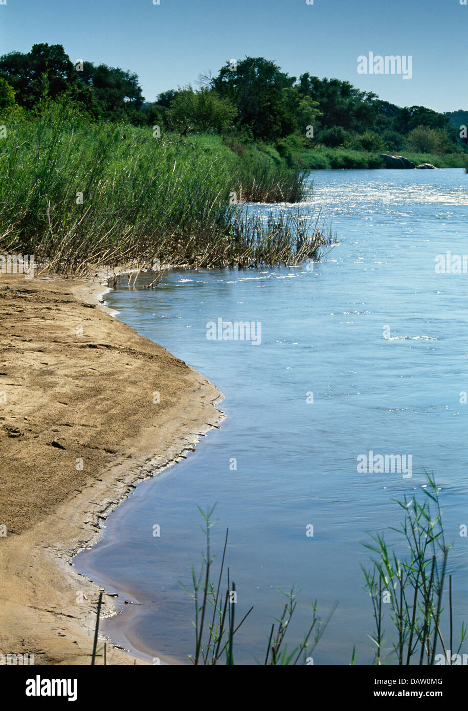 Bank of the Olifants River in the Lowveld. Stock Photo