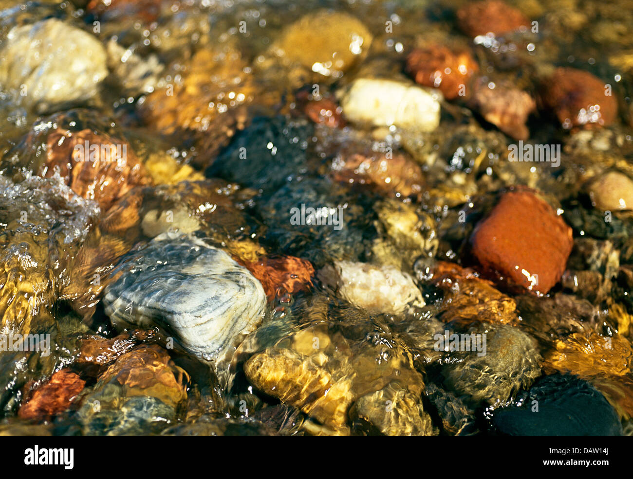 Different coloured pebbles in the water of the Olifants River Stock Photo