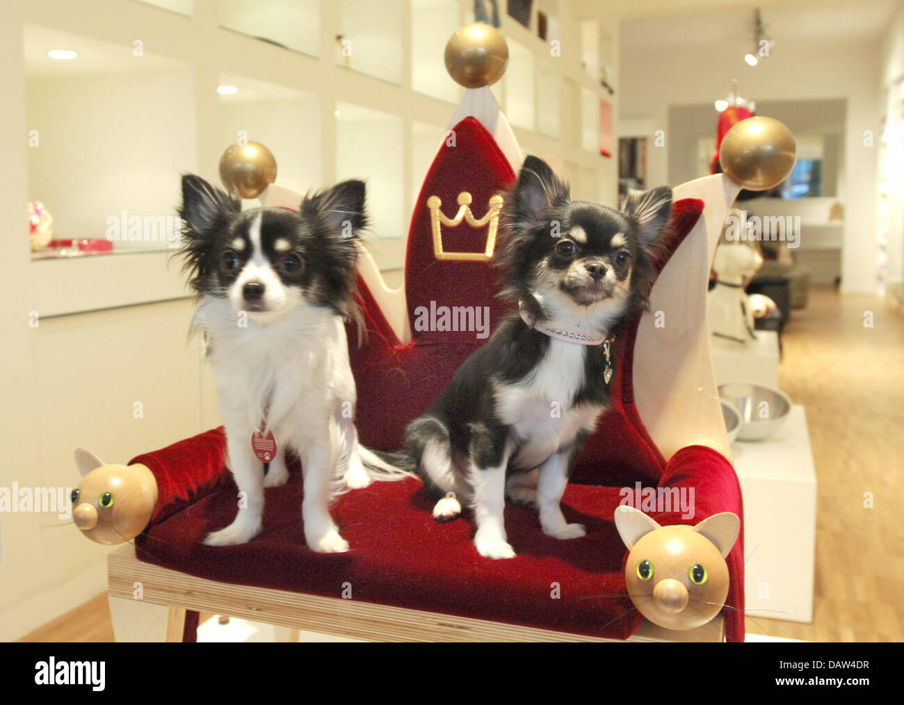 Leatherthrone hires stock photography and images Alamy