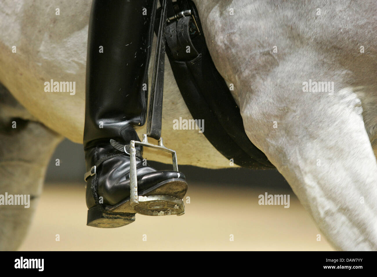 The picture shows an equestrian's riding boot in a stirrup on an Andalusian horse during a dressage program previewing the horse fair 'Equitana' in Essen, Germany, Thursday, 08 March 2007. 800 exhibitors present 1,000 horses at the world's largest horse fair which runs from 10 until 18 March 2007. 700 hours of program await visitors at the event. Photo: Roland Weihrauch Stock Photo